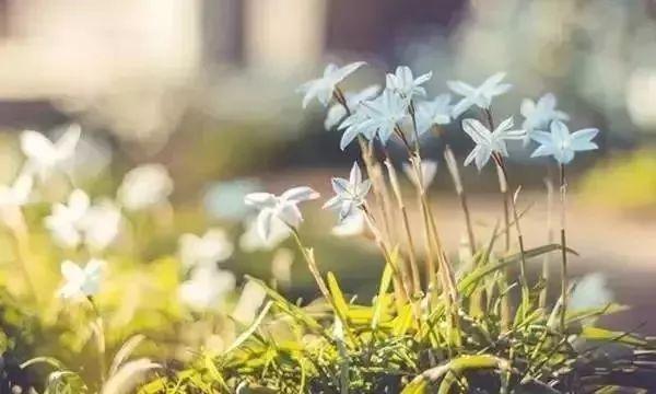 晚安心情180109：人生聚散，一切随缘