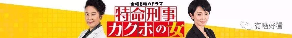 45岁的木村保镖34岁的松本律师，日剧侦探专业户