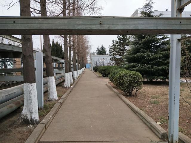 vivox9s值得买吗，vivo这手机开始平民价了