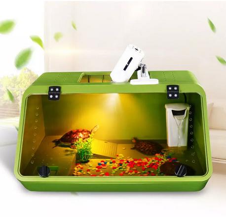 龟缸需要准备什么，一个合格的宠物龟缸