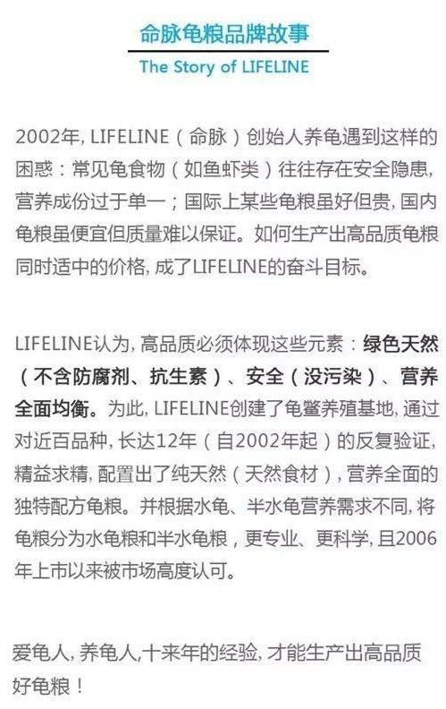 龟缸需要准备什么，一个合格的宠物龟缸