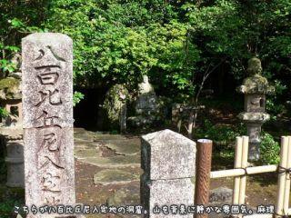 阴阳师地震鲶副属性，阴阳师地震鲶御魂属性怎么样