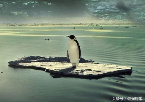 真正蜥蜴人有什么危险，蜥蜴人：阴谋论还是现实
