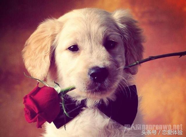 女朋友生日送什么礼物好