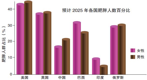 肥胖代号(肥胖代码mobi)