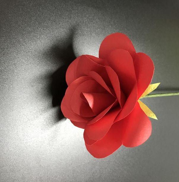用卡纸做玫瑰花，简单又好看的手工折纸玫瑰花（梅子教你DIY玫瑰花折纸）