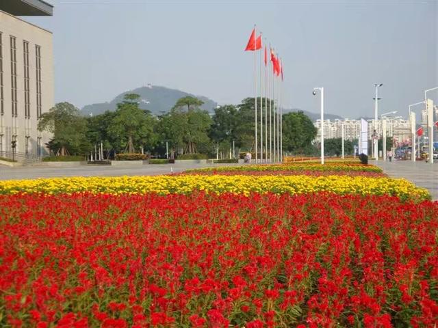 东莞未来最繁华的广场，东莞中心广场可打造成中央休闲街区