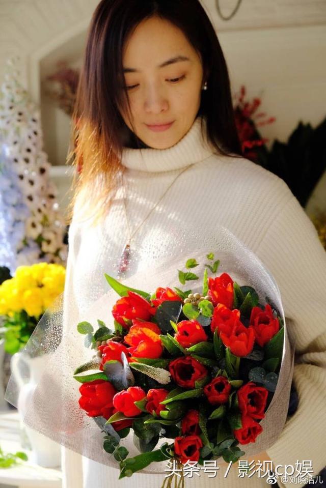 叶寸心的扮演者，特种兵之火凤凰叶寸心是谁扮演的