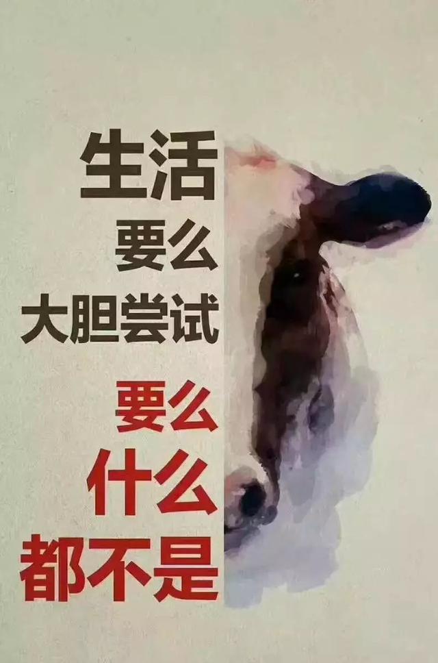 正能量早安心语句子190403：每一份收获，都来自你坚持不懈的努力