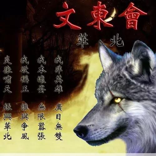 坏蛋是怎样炼成小说，一本教人变坏的书