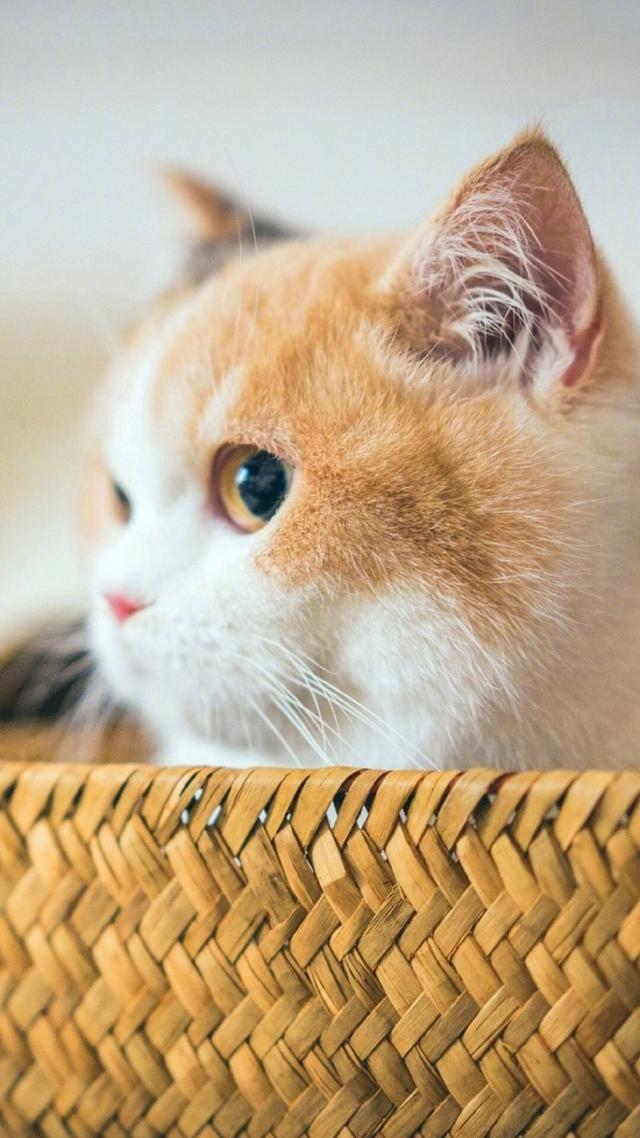 晚安美图180124：能把生活过的很有趣