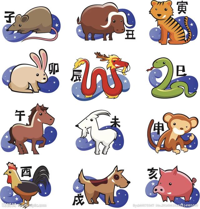 今天生肖属什么，今天的生肖属性是什么（十二生肖每日运势）