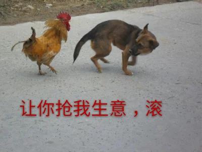 今天生肖属什么，今天的生肖属性是什么（十二生肖每日运势）