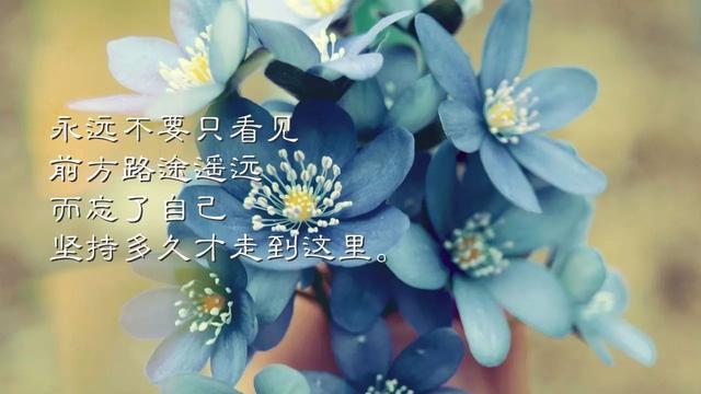 早安心语正能量180207：你所向往的远方，都是一步一个脚印才能到达