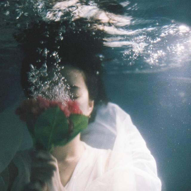 早安好句子180121：偶尔动个情，但记得要醒