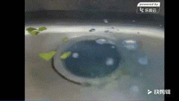 10款快速疏通不求人的管道疏通剂，好用的管道疏通剂推荐哪一款