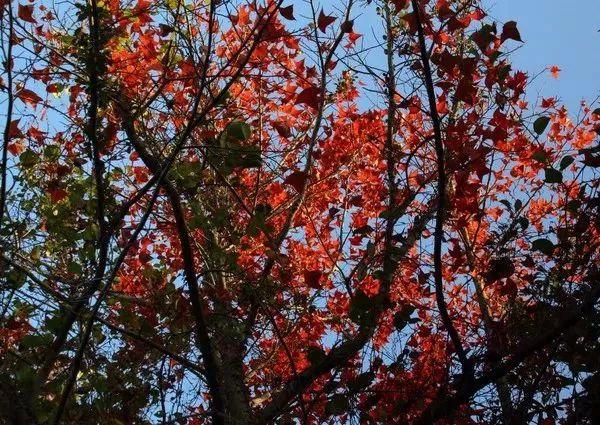 莆田附近一日游，今天告诉你个别样的莆田一日游