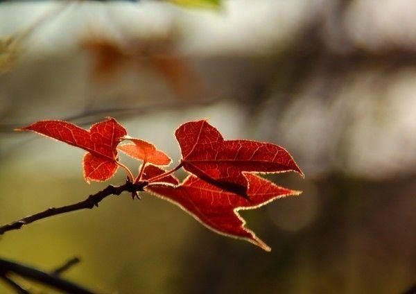 莆田附近一日游，今天告诉你个别样的莆田一日游
