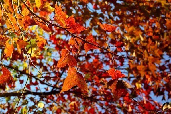 莆田附近一日游，今天告诉你个别样的莆田一日游