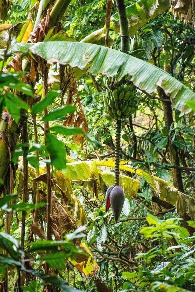 莆田附近一日游，今天告诉你个别样的莆田一日游