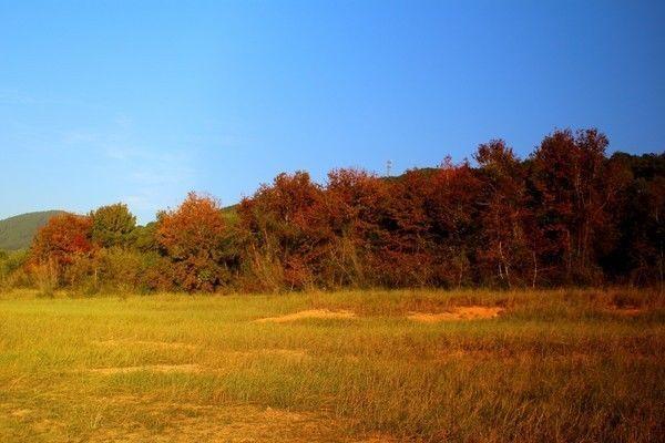 莆田附近一日游，今天告诉你个别样的莆田一日游