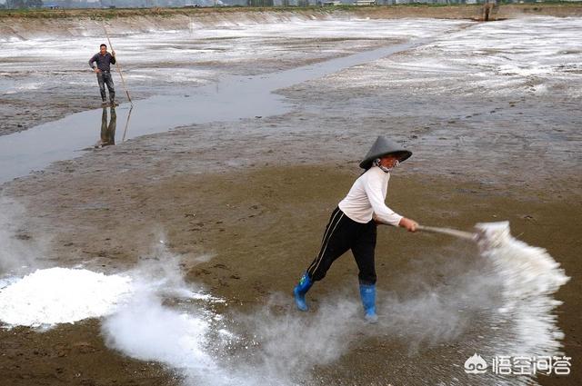 养殖生石灰颗粒好还是粉好，生石灰在养殖业的用途有哪些