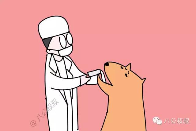 狗中毒最快的解毒方法，狗中毒症状急救措施