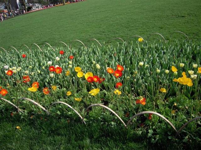 三月底是什么星座，3月是什么星座性格（星座日期查询表）