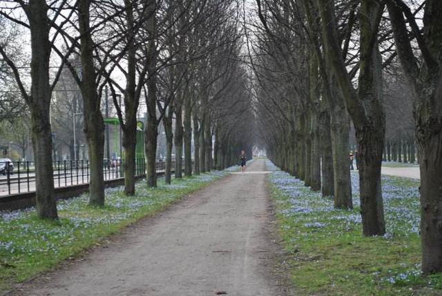 三月底是什么星座，3月是什么星座性格（星座日期查询表）