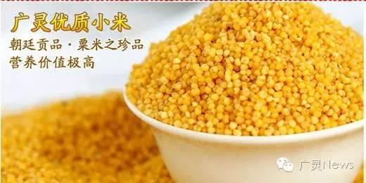 小米山西特产，广灵特产小米