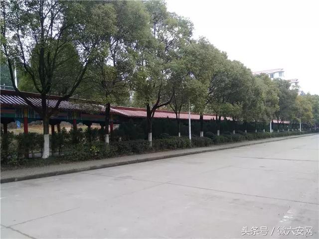 南昌理工学院航空系，南昌理工学院20周年（盘点院校前身之江西民办大学）