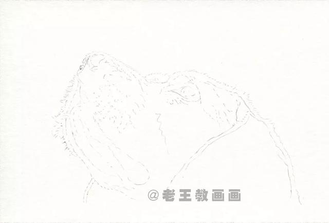经典铅笔画狗，教你画一只可爱的狗狗