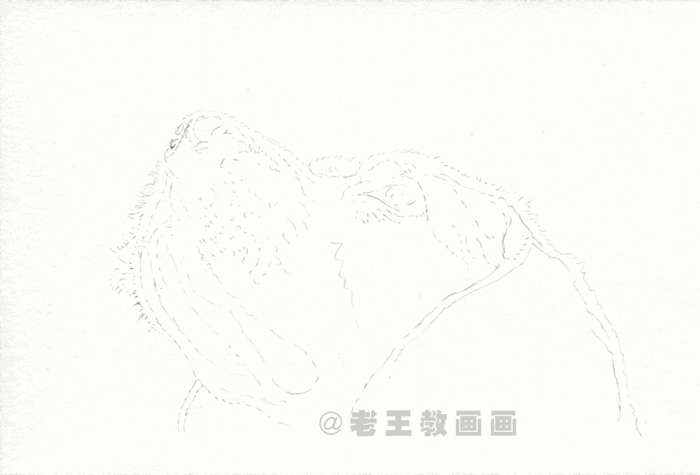 经典铅笔画狗，教你画一只可爱的狗狗