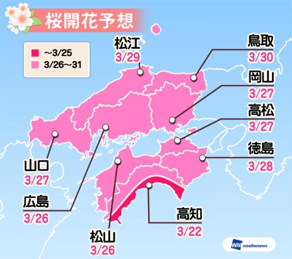 日本樱花什么时候开，日本樱花开花季日程表和攻略（东京：樱花盛放）