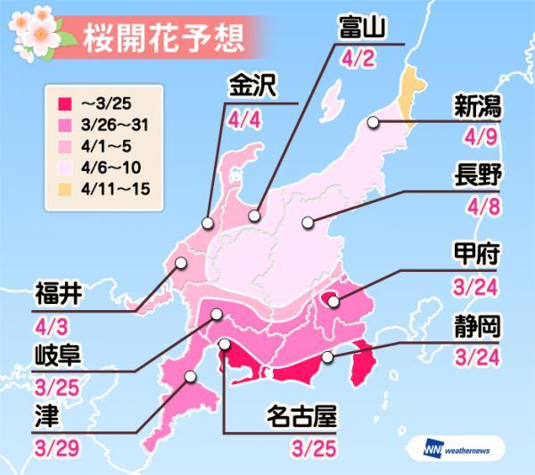 日本樱花什么时候开，日本樱花开花季日程表和攻略（东京：樱花盛放）