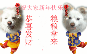 有狗狗的朋友注意了，狗狗不宜吃和宜吃的食物清单