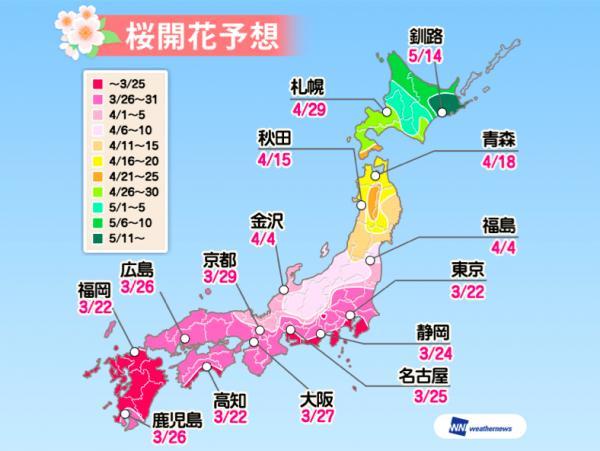 日本樱花什么时候开，日本樱花开花季日程表和攻略（东京：樱花盛放）