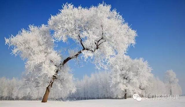 雾凇含义是什么，雾凇是什么会怎么考