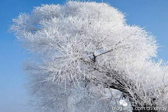 雾凇含义是什么，雾凇是什么会怎么考