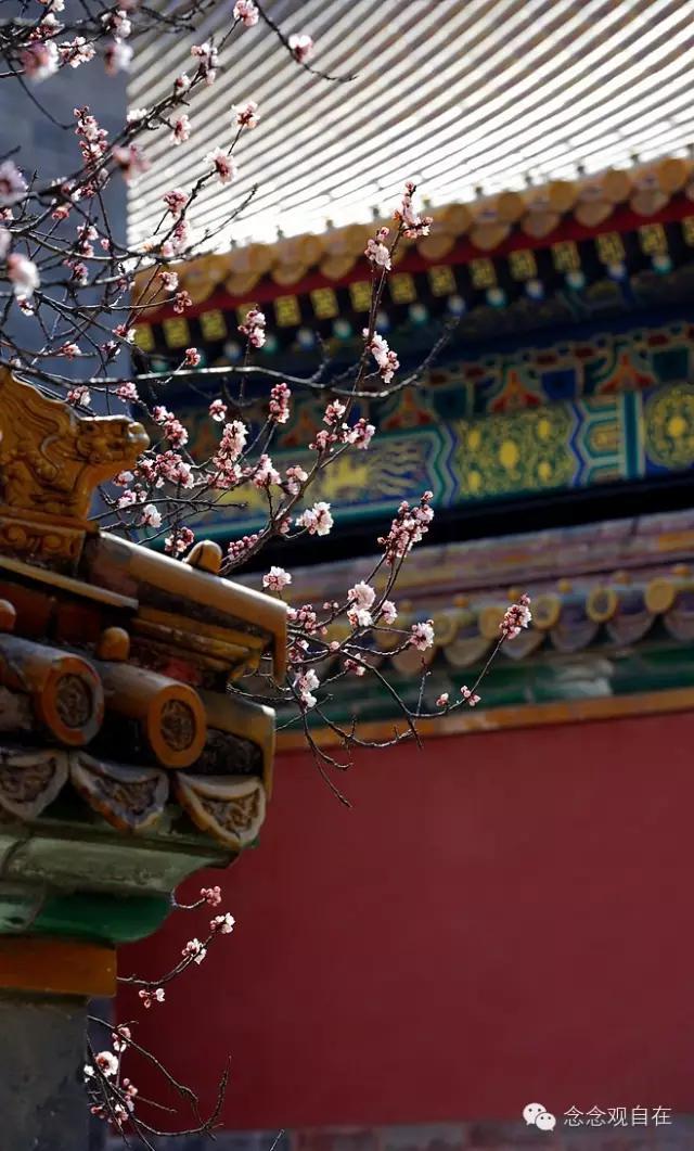 八关斋戒最重要的四点，有条件的话最好住在寺院里