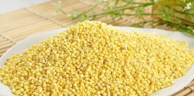 禾苗的禾怎么写，禾苗的禾怎么写才好