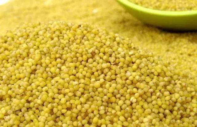 禾苗的禾怎么写，禾苗的禾怎么写才好