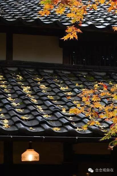 八关斋戒最重要的四点，有条件的话最好住在寺院里