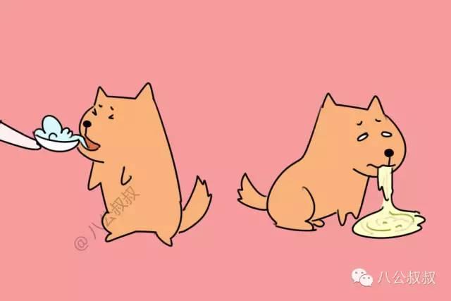 狗中毒最快的解毒方法，狗中毒症状急救措施