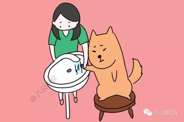 狗中毒最快的解毒方法，狗中毒症状急救措施