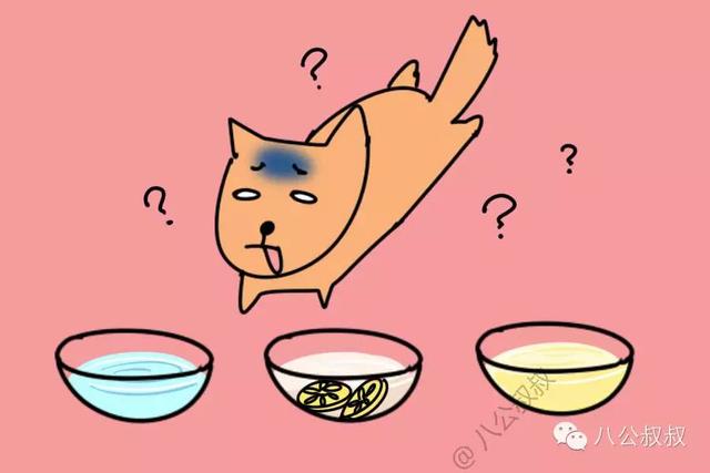 狗中毒最快的解毒方法，狗中毒症状急救措施