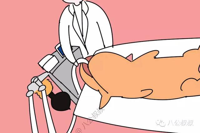 狗中毒最快的解毒方法，狗中毒症状急救措施