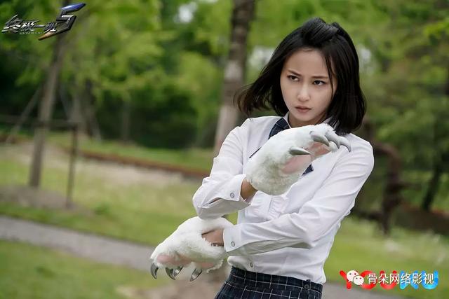 终极一班第5季在哪可以看，终极一班系列成为