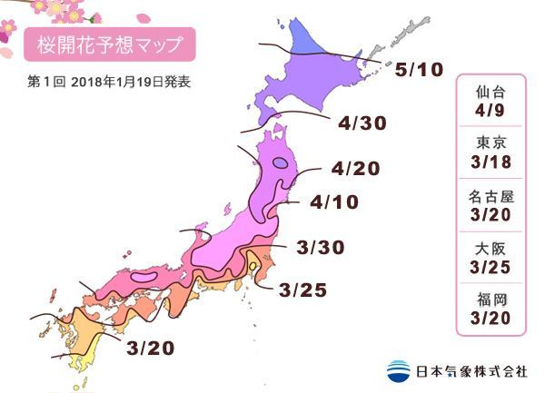 日本樱花什么时候开，日本樱花开花季日程表和攻略（东京：樱花盛放）