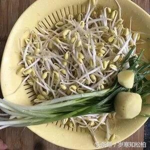 绿豆丸子的做法和配方，绿豆丸子新做法（绿豆丸子怎么做又脆又香）